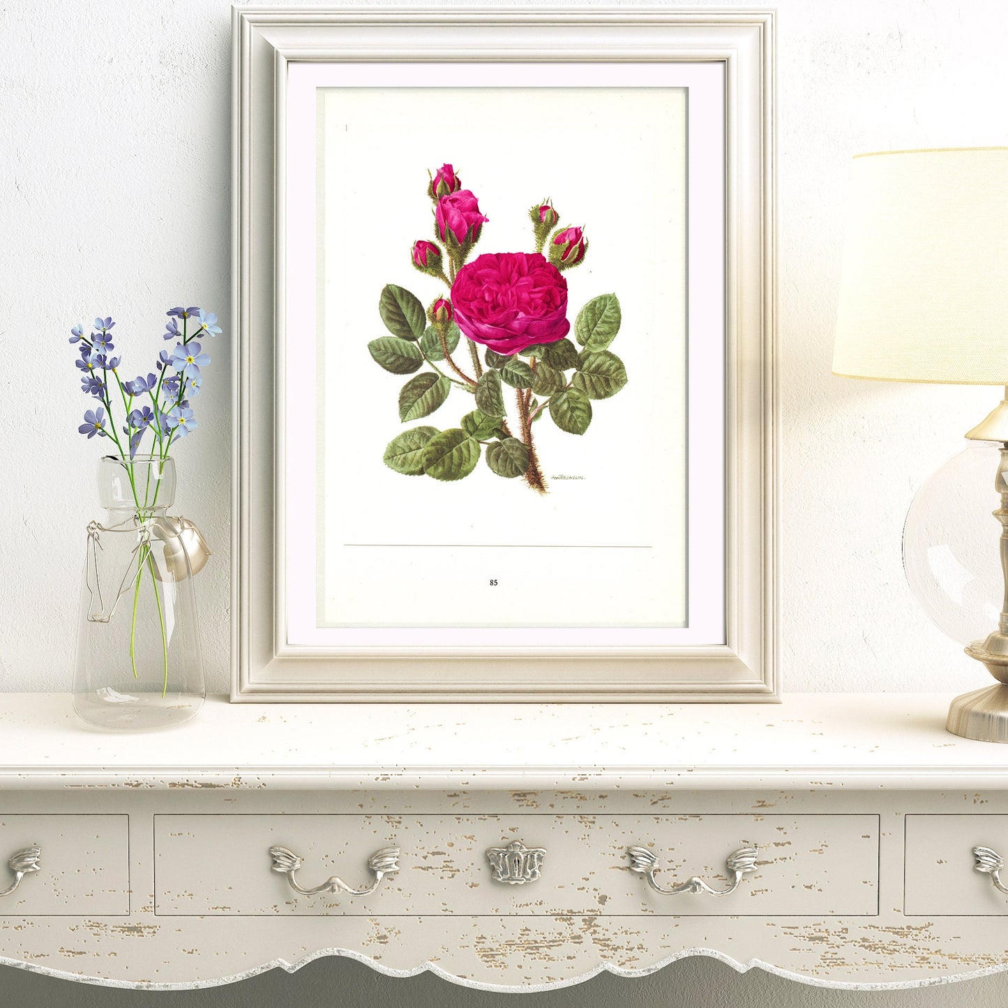 1962 Dark pink roses botanical art. Vintage Parkzauber rose botanical print for French country decor. Floral wall decor girl Flower wall art