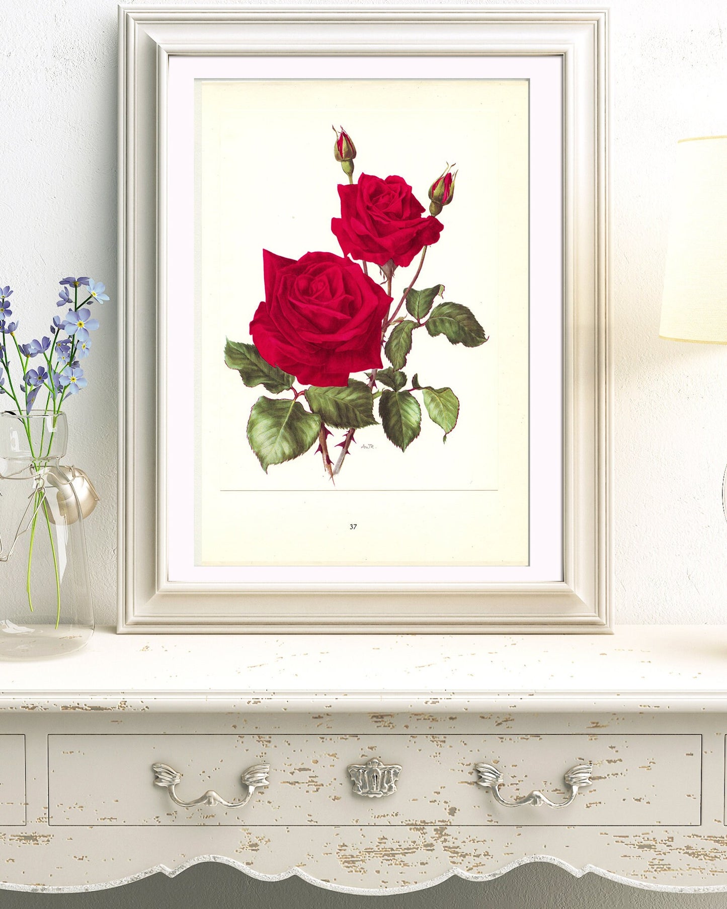 1962 Red rose Botanical art. Ena Harkness Vintage Red Roses poster. Vintage floral print. English Botanical Rose print. French country decor