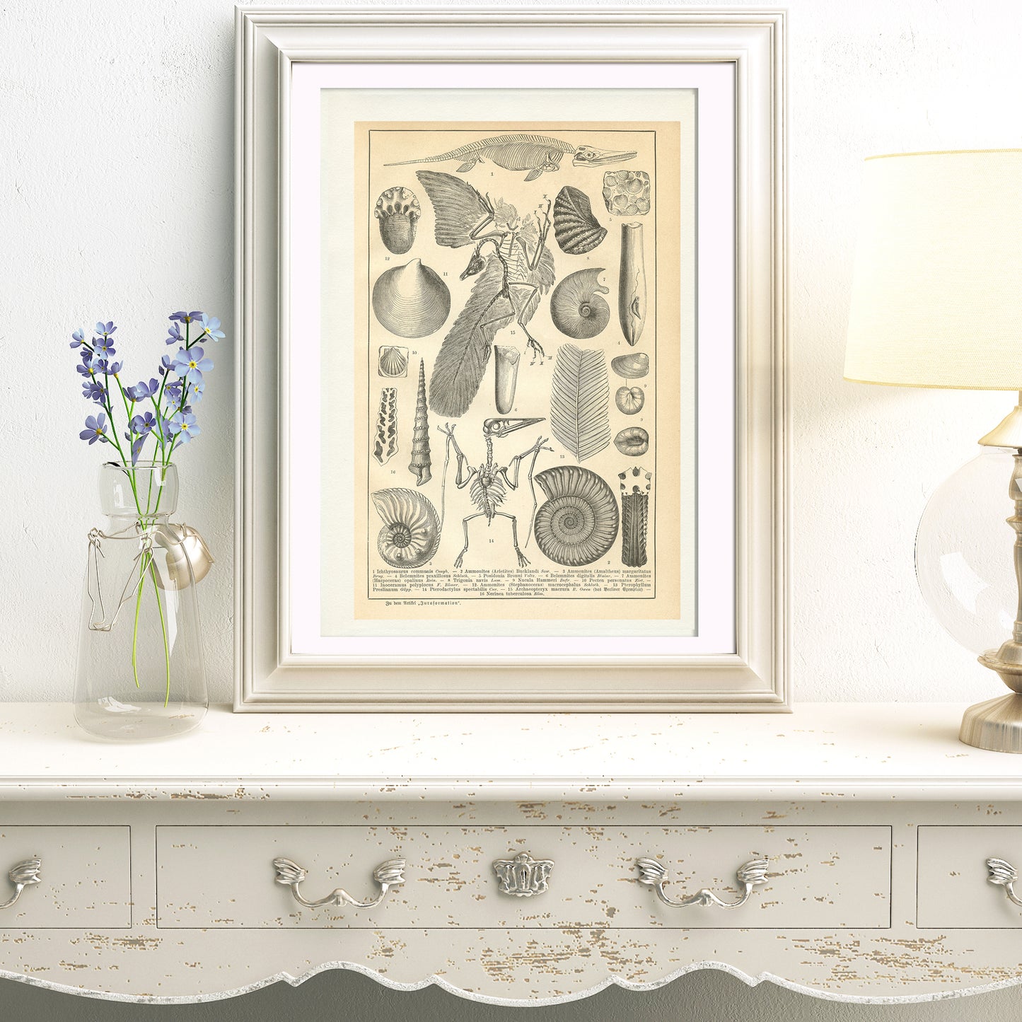 1890 Antique German Beetles Print