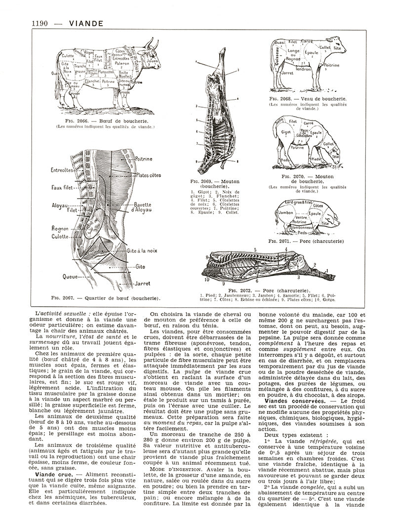 Large French Butcher's Cuts Poster