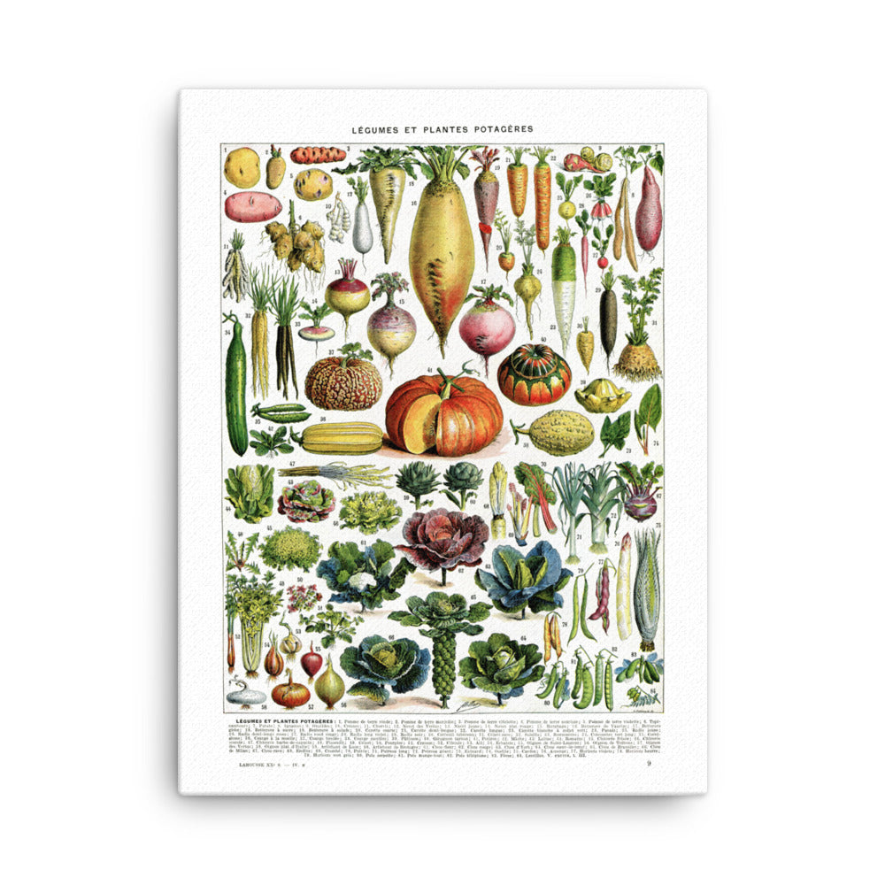 Vegetables Chart Stretched Canvas