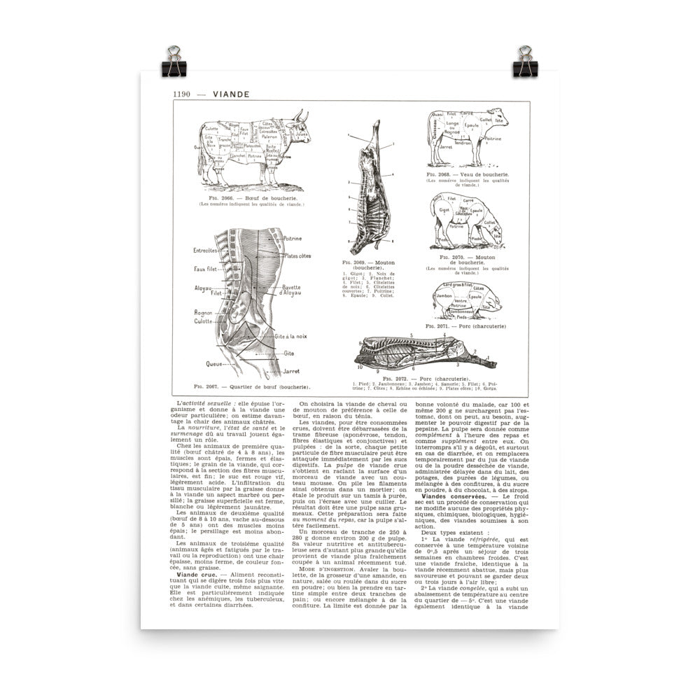 Large French Butcher's Cuts Poster