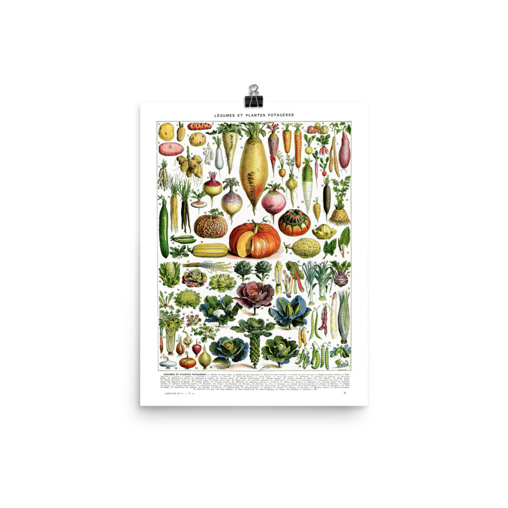 Large Vegetables chart poster for kitchen decor by Adolphe Millot