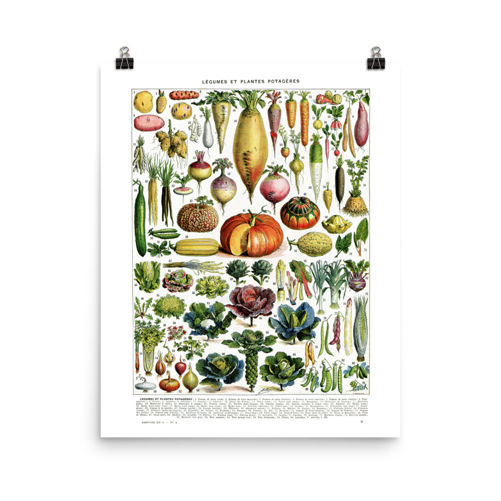 Large Vegetables chart poster for kitchen decor by Adolphe Millot