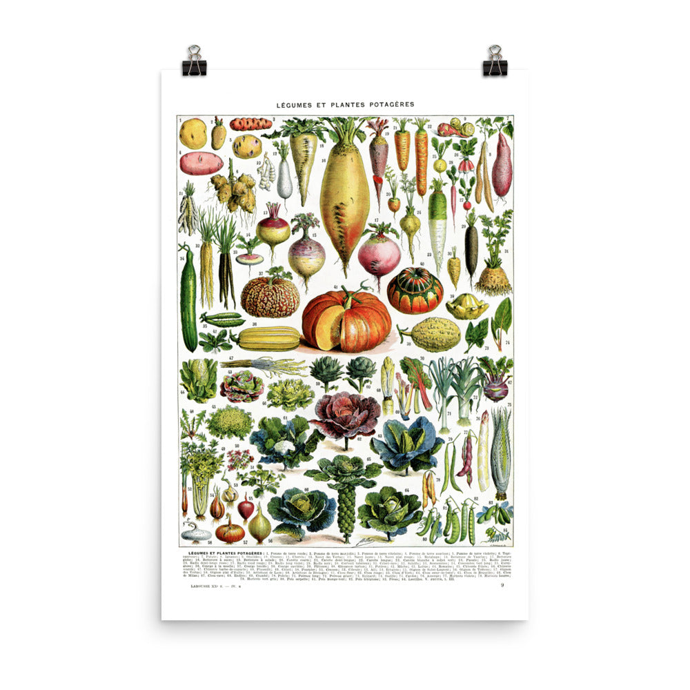 Large Vegetables chart poster for kitchen decor by Adolphe Millot