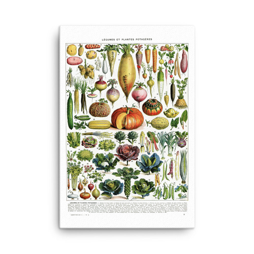 Vegetables Chart Stretched Canvas