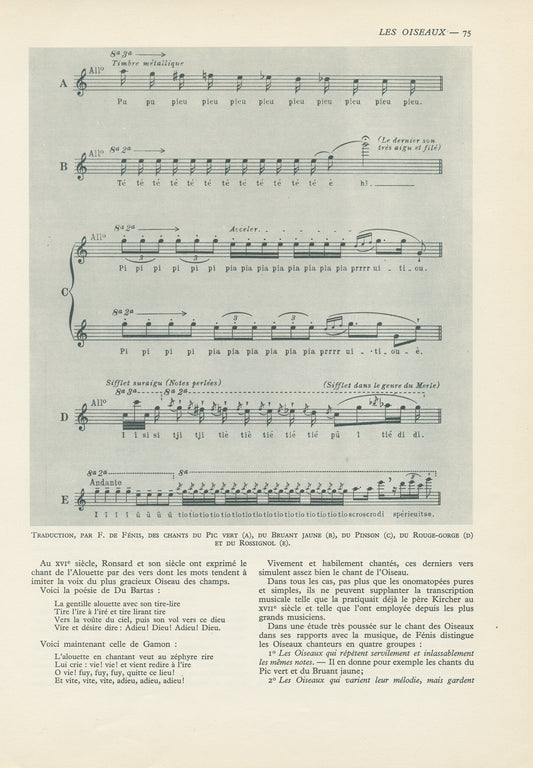 1949 Bird songs transcription print