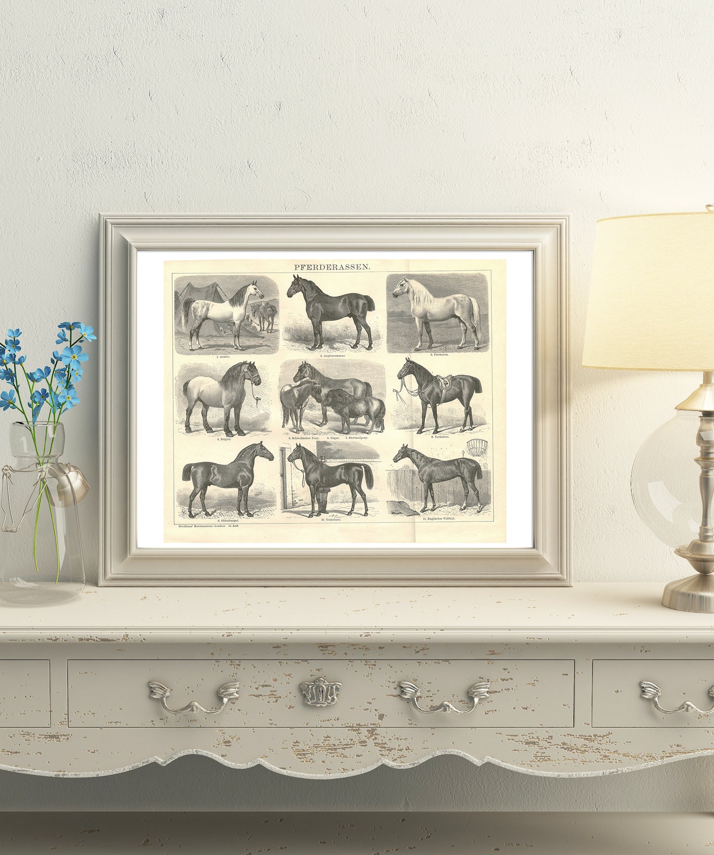 1894 Antique German horse breeds engraving