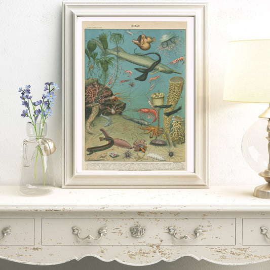 Marine biology aesthetic room decor ideas