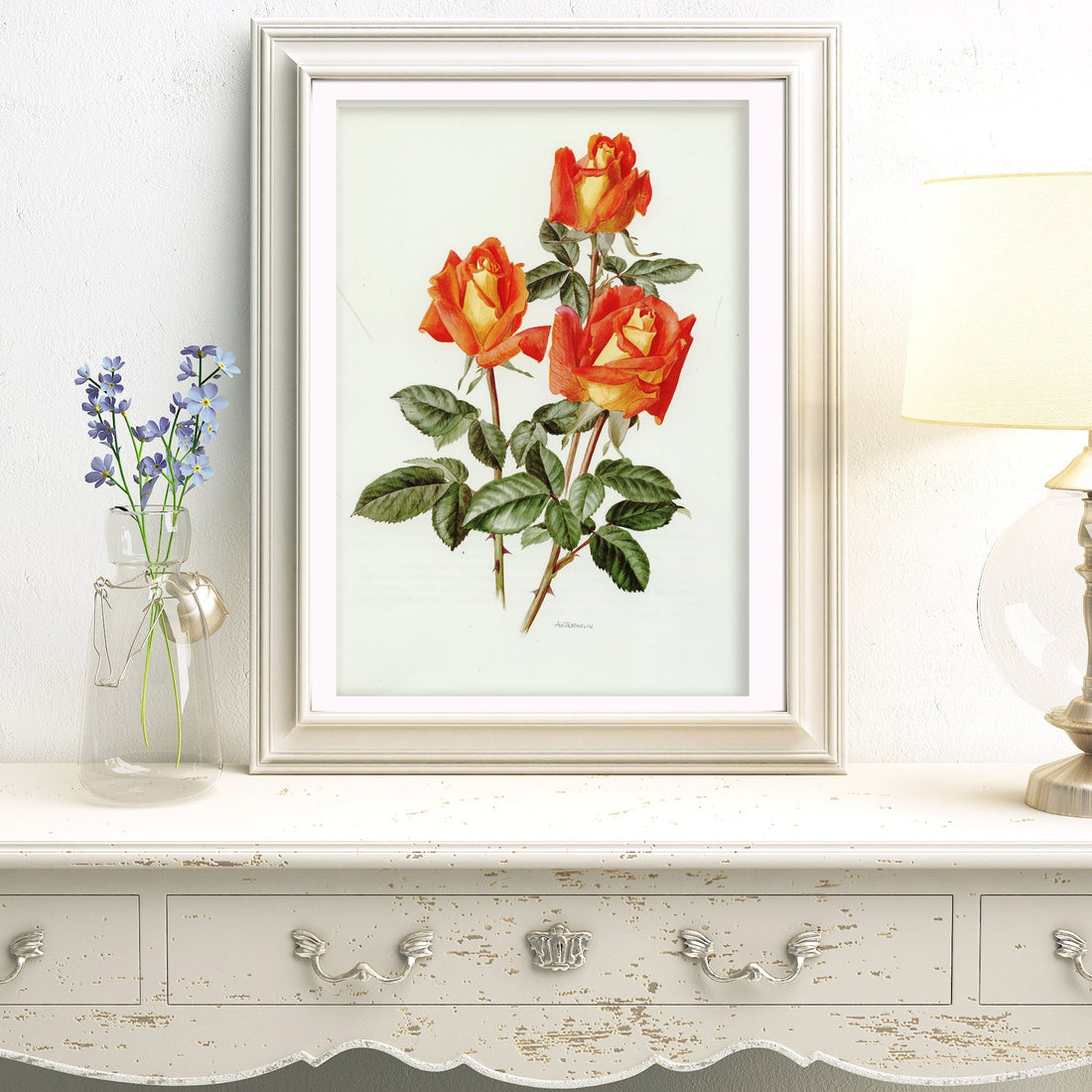 Roses Named After Famous People in Vintage Botanical Prints