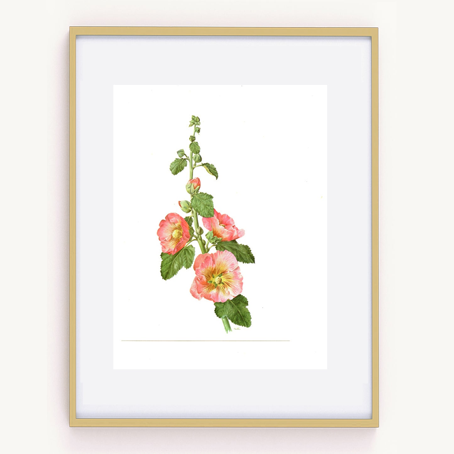 1972 Pink Hollyhock flower print