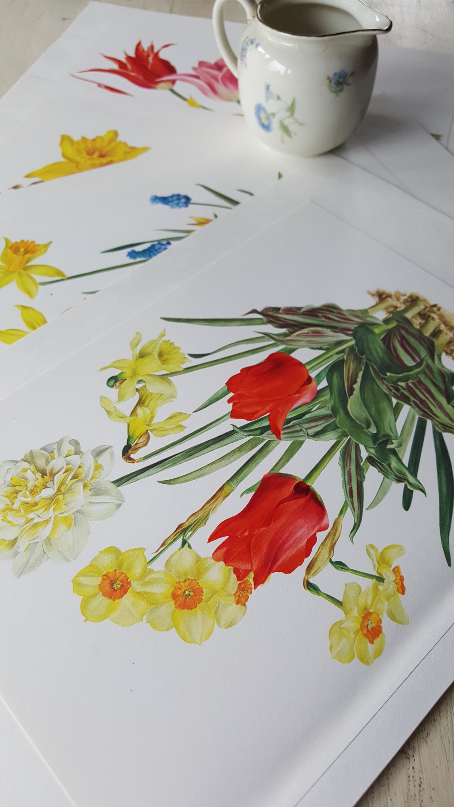 1964 White Daffodil & red tulip botanical