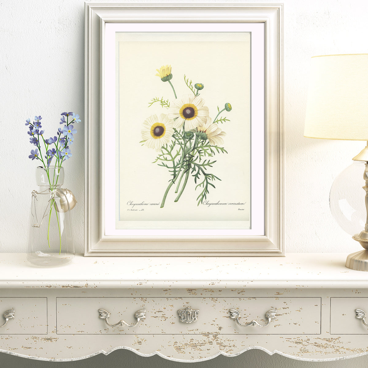 1986 Illustration botanique de Chrysanthème blanc par Redouté