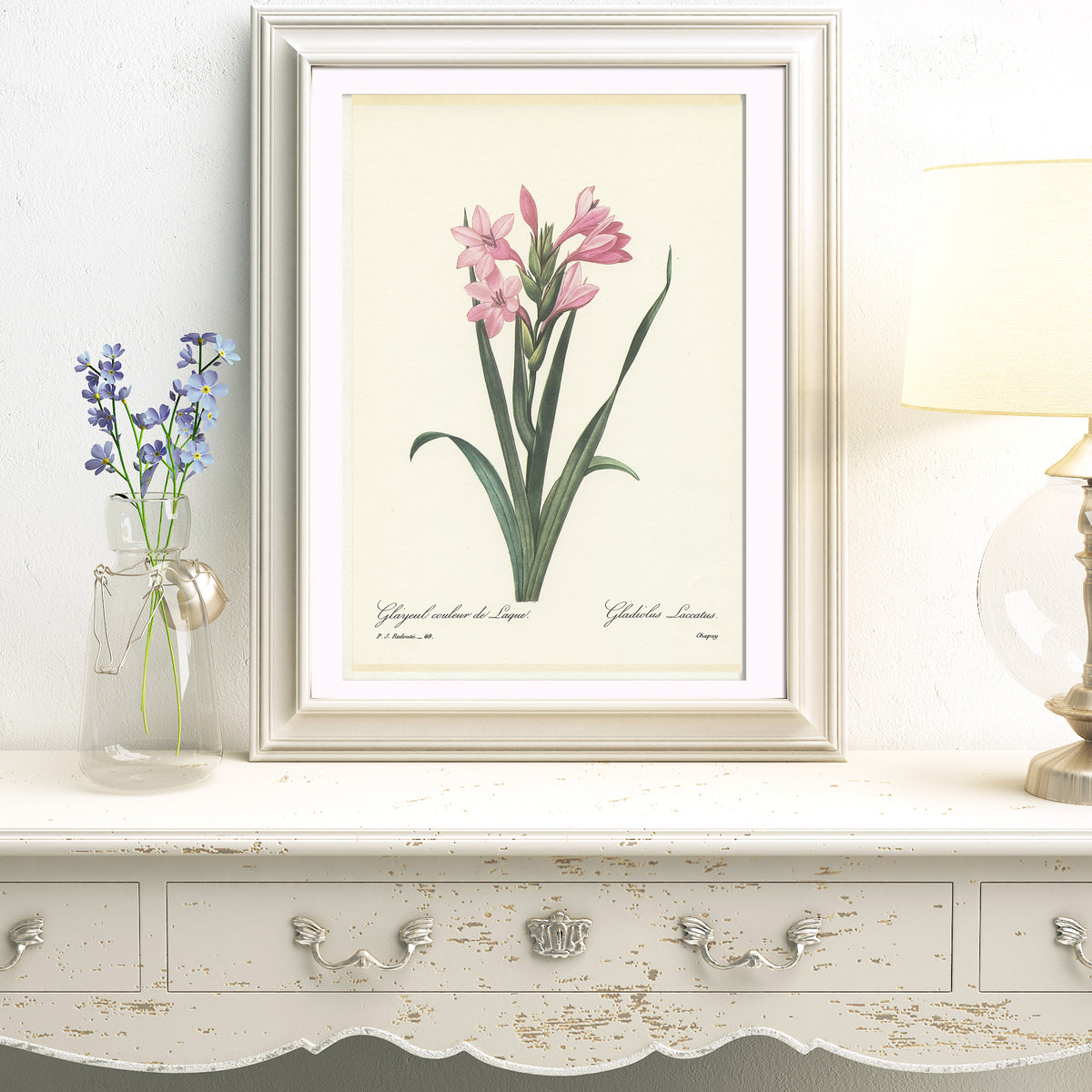 1986 Vintage Redouté Pink Gladiolus Botanical Print