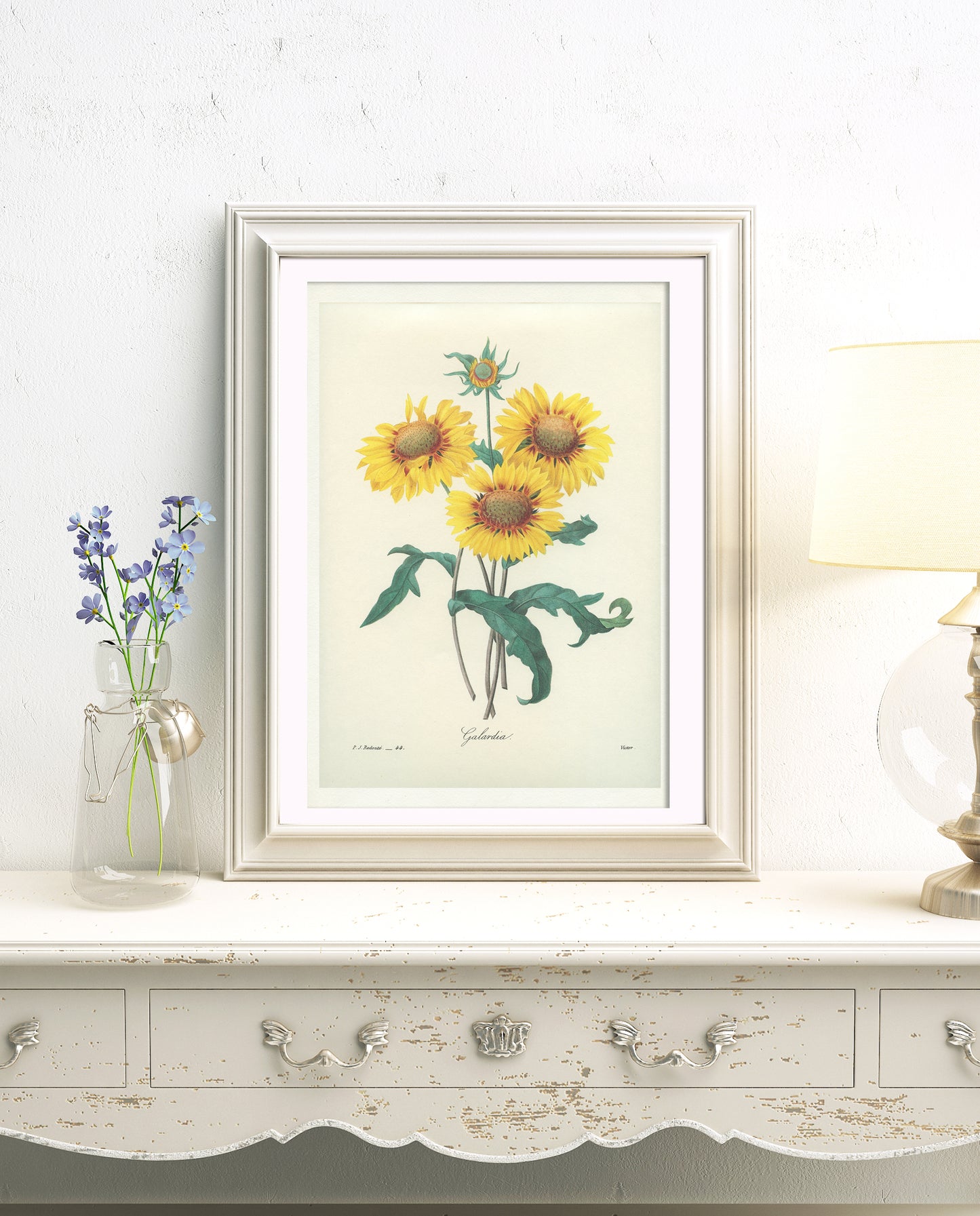 1986 Redoute Gailardia yellow Blanket Flower botanical print