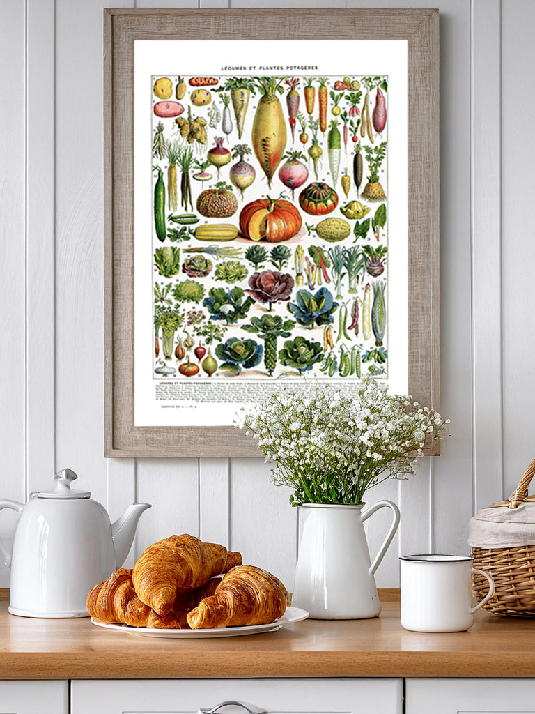 Large Vegetables chart poster for kitchen decor by Adolphe Millot