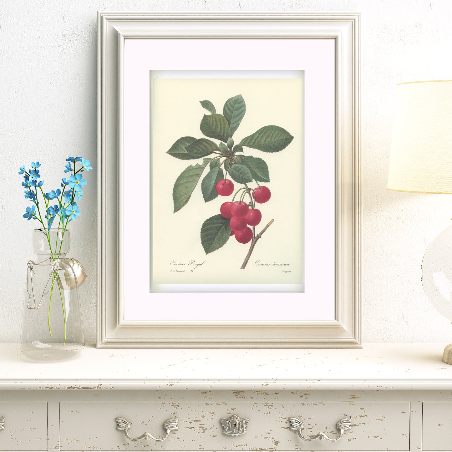 1986 Redoute Cherry Tree Print