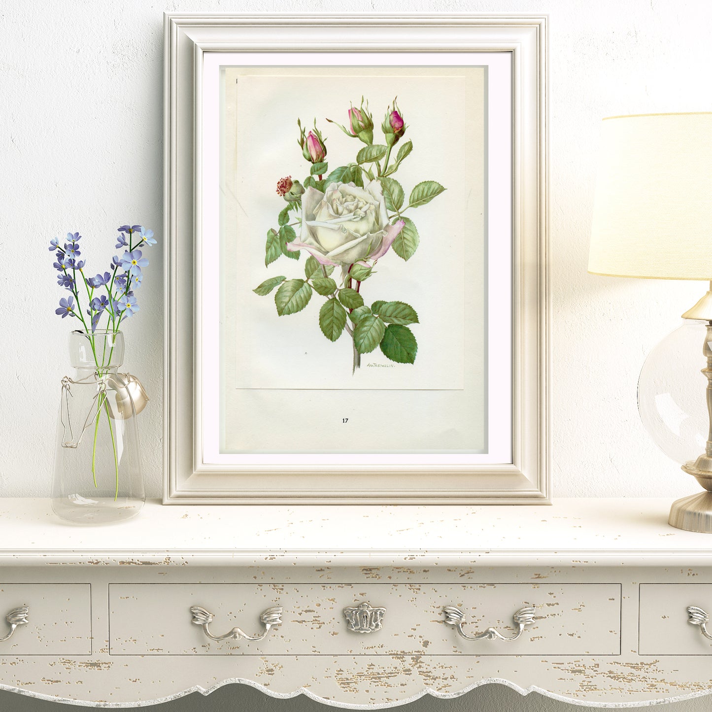 1962 Frau Druschki  Roses botanical print