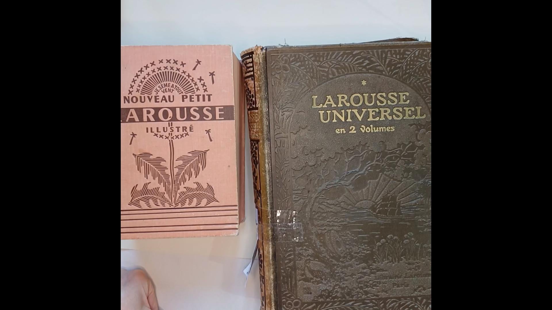 Load video: New littlre treasure unearthed! Mini French Larousse dictionary