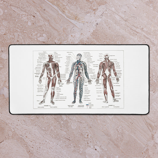Retro Human anatomy desk mat with a 1922 French vintage medical print - Gift for doctor