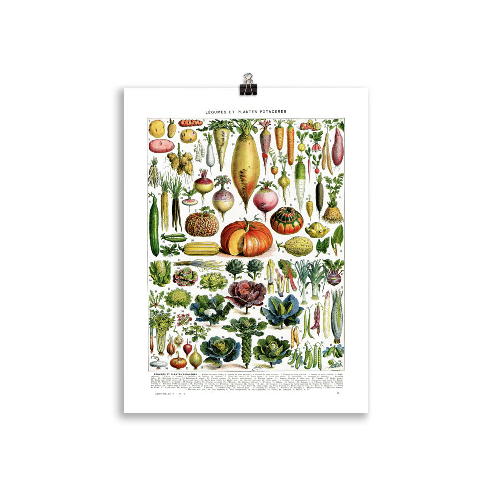 Large Vegetables chart poster for kitchen decor by Adolphe Millot