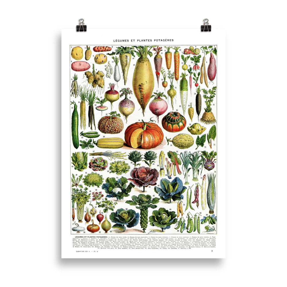 Large Vegetables chart poster for kitchen decor by Adolphe Millot