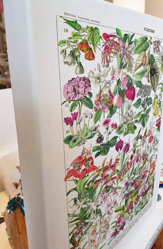 Exotic hot house flowers botanical stretched canvas