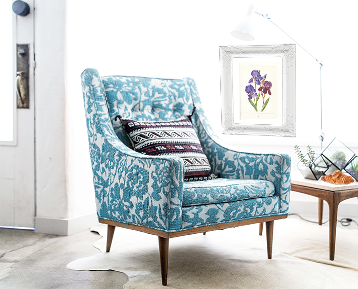 1964 Purple iris botanical print