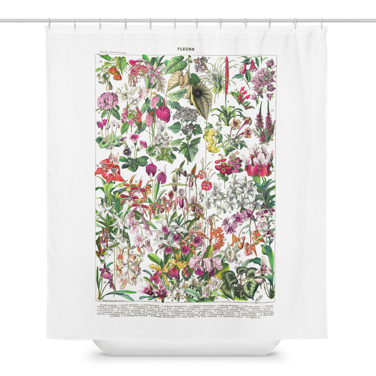 Retro Tropical hot-house Adolphe Millot flowers botanical Shower curtain