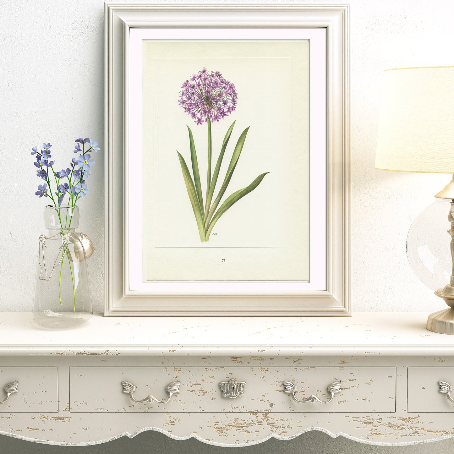 1964 Purple Allium flower print