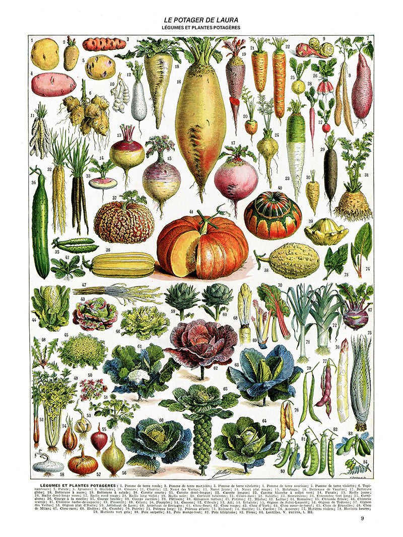 Personalized Vegetables chart poster for kitchen decor by Adolphe Millot