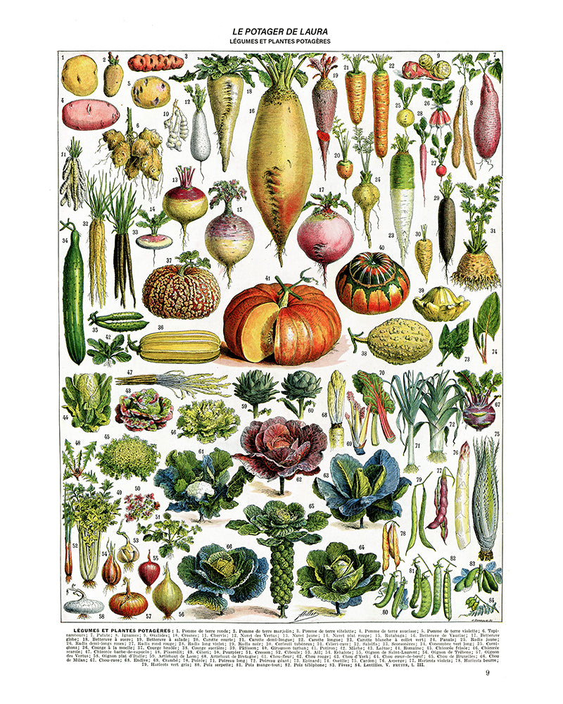 Personalized Vegetables chart poster for kitchen decor by Adolphe Millot