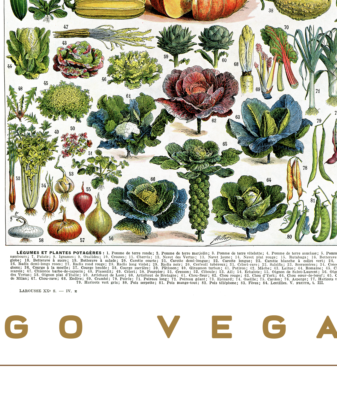 Large Go Vegan Vegetables poster