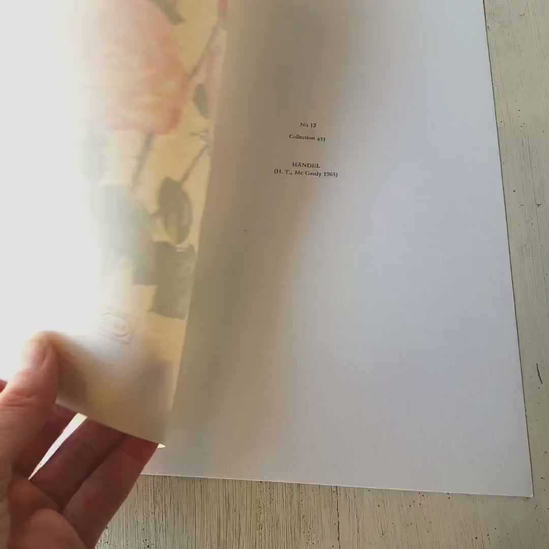 Haendel Pink Roses art 1962 Vintage Botanical art. Floral print French country decor Roses decor. Botanical poster Teacher gift for musician