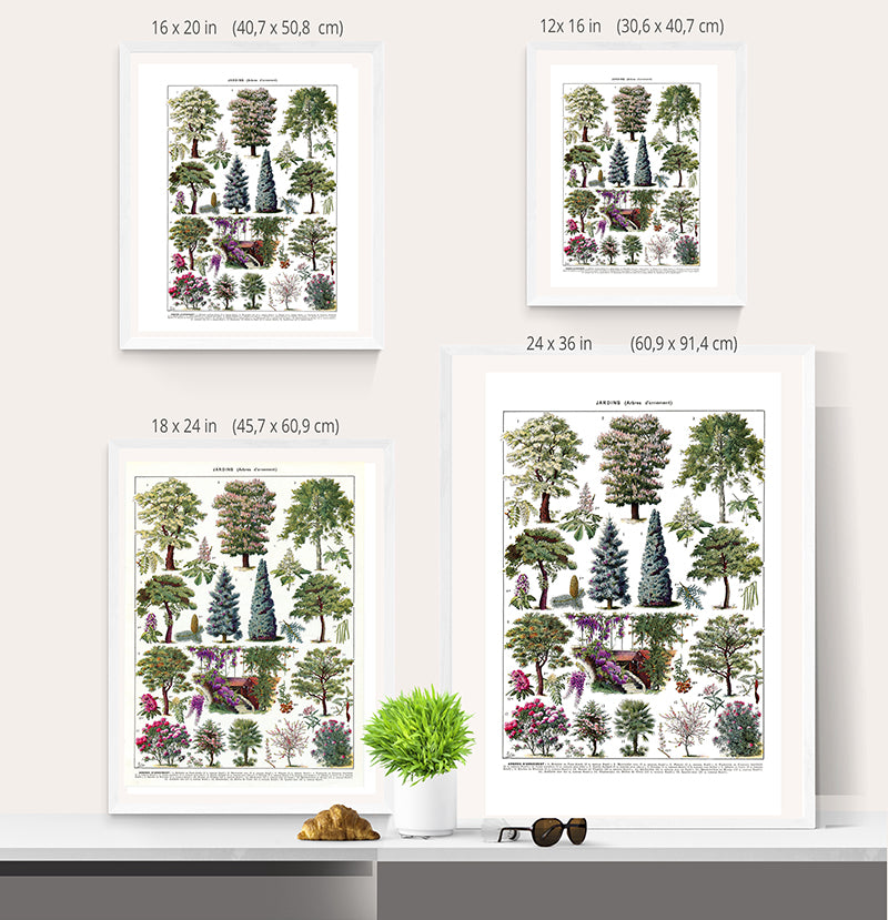 Garden tree posters size comparison