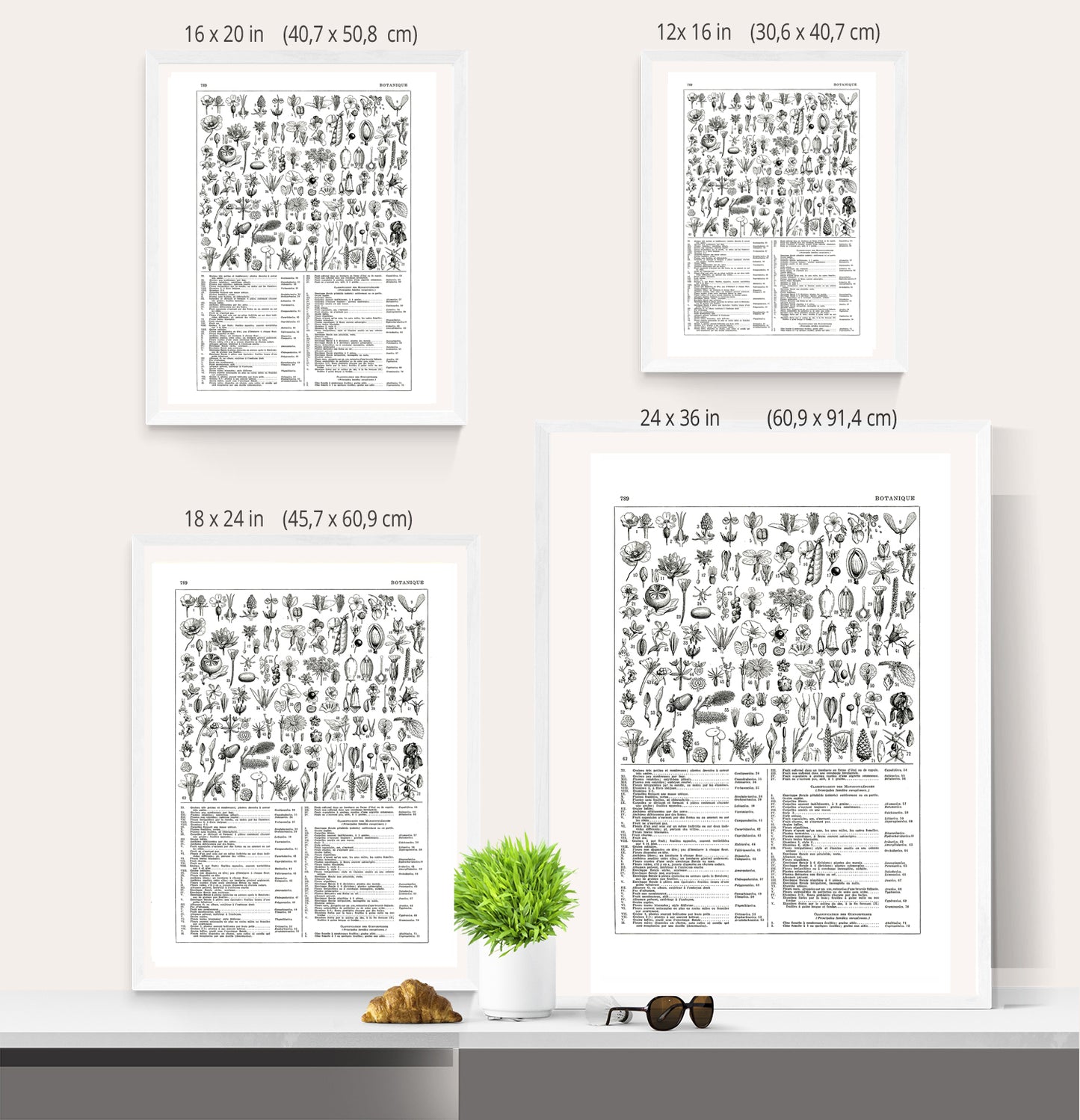 Large black and white plants botanical poster