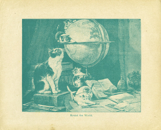 1902 Antique Cat & Kitten Engraving