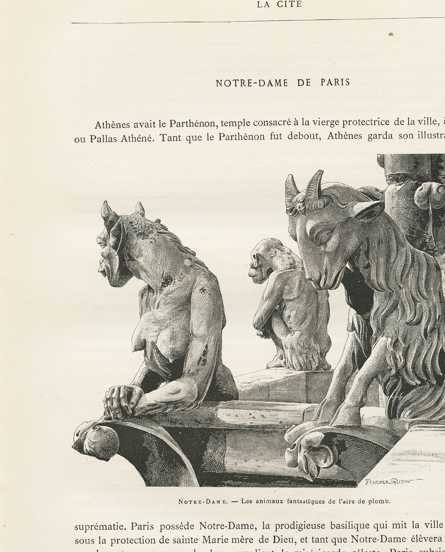 1889 Gargoyles Roof Statues Notre Dame de Paris