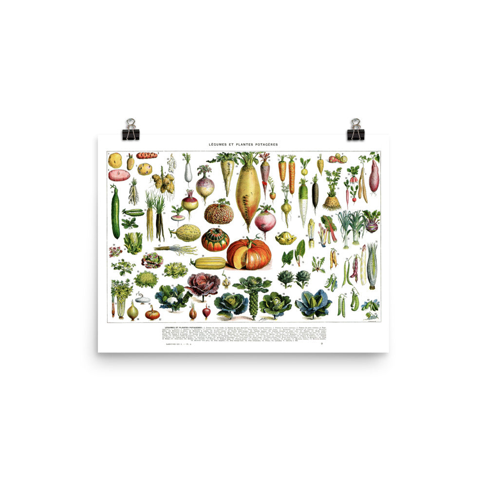 Large Horizontal Vegetables chart for kitchen decor