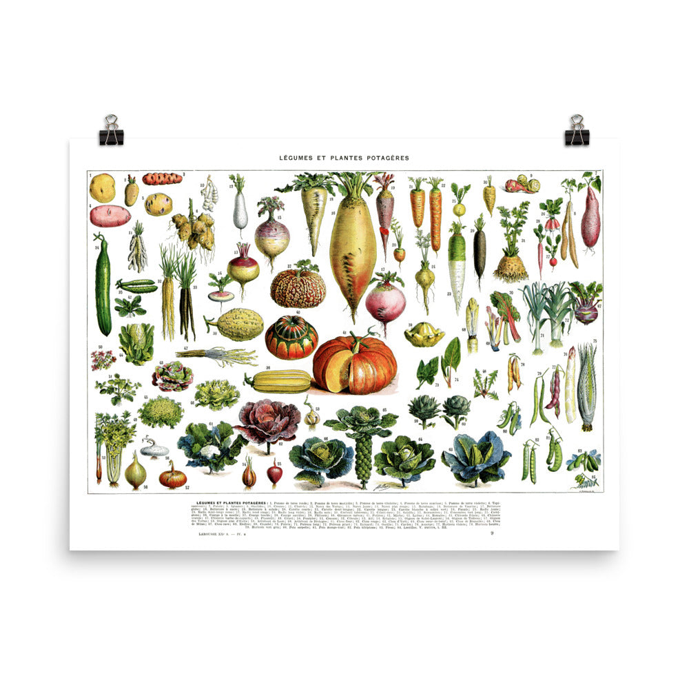 Affiche de légumes d'après Adolphe Millot horizontale