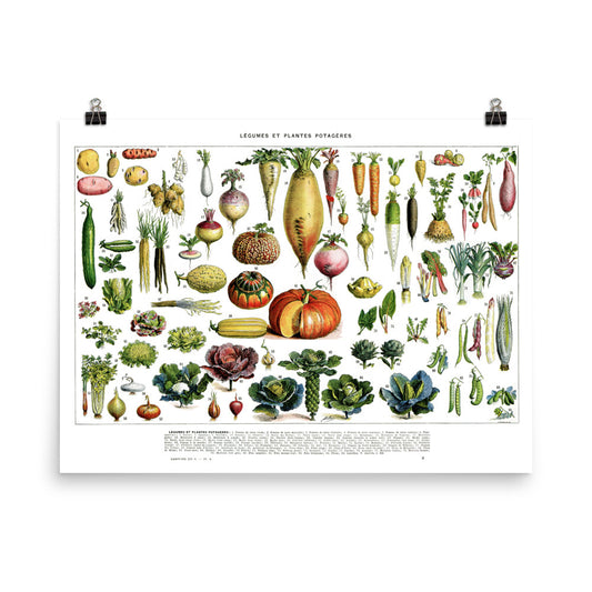 Large Horizontal Vegetables chart for kitchen decor