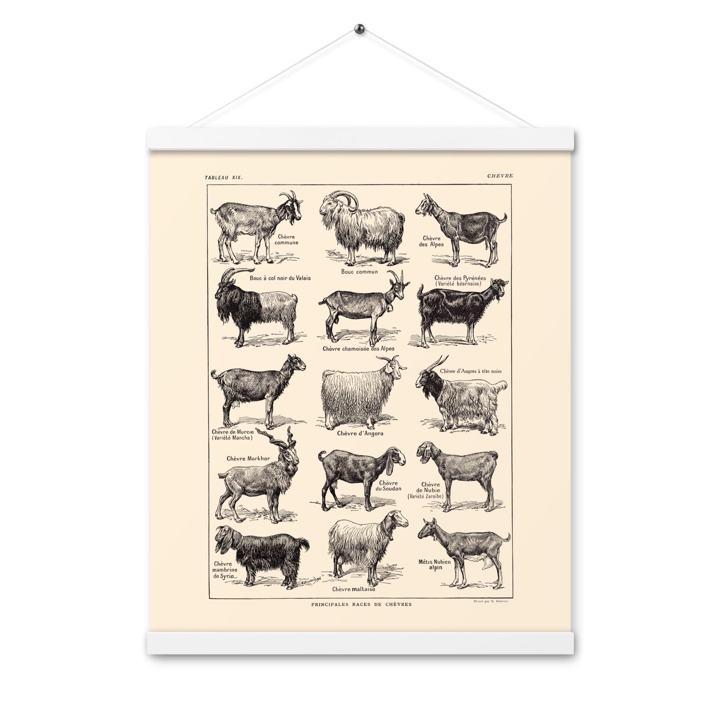 Beige Goats Poster + Magnetic Holder