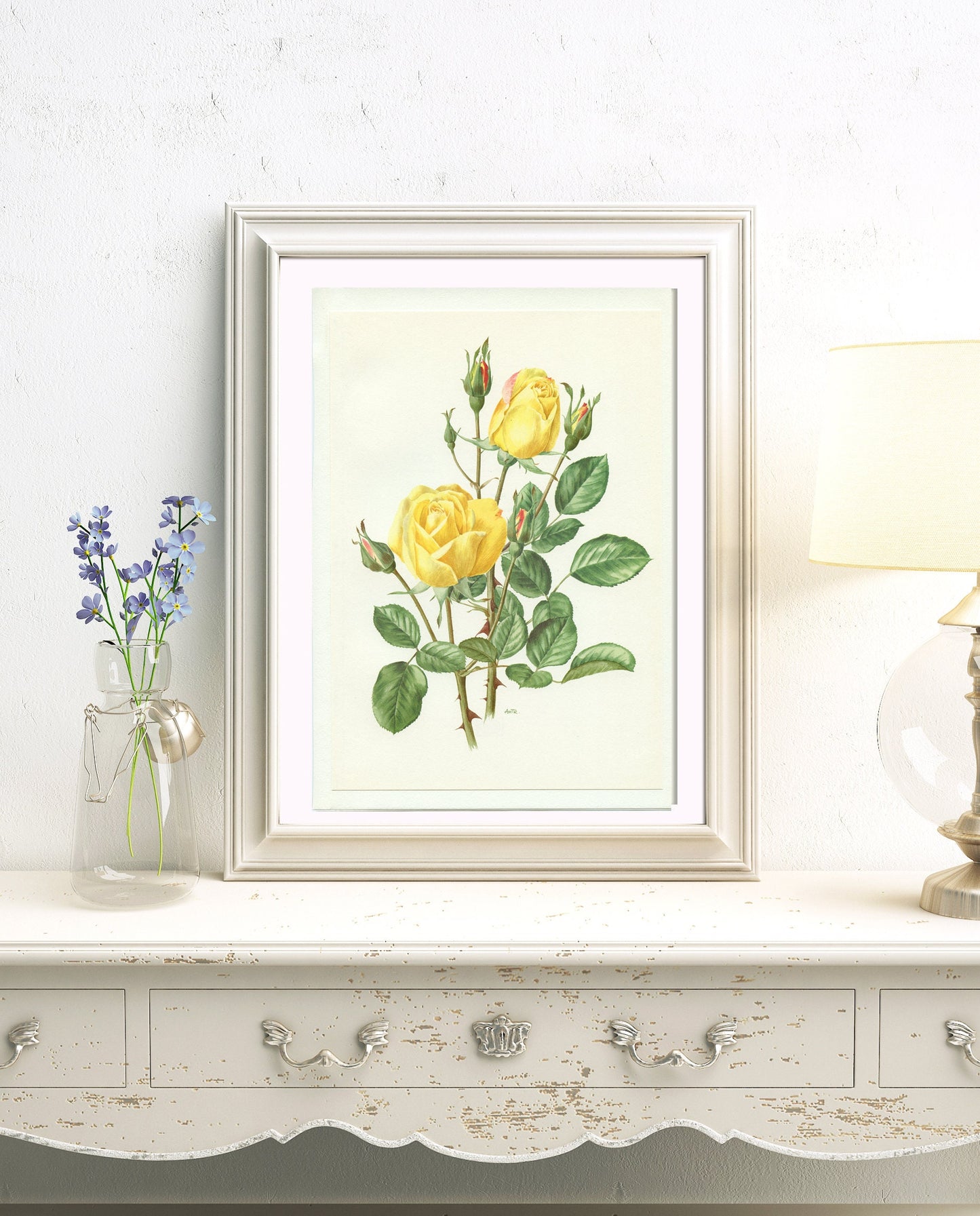 Yellow Arthur Bell rose poster 1967 Vintage Botanical art French country decor Antique botanical art Antique Roses art Vintage roses gift