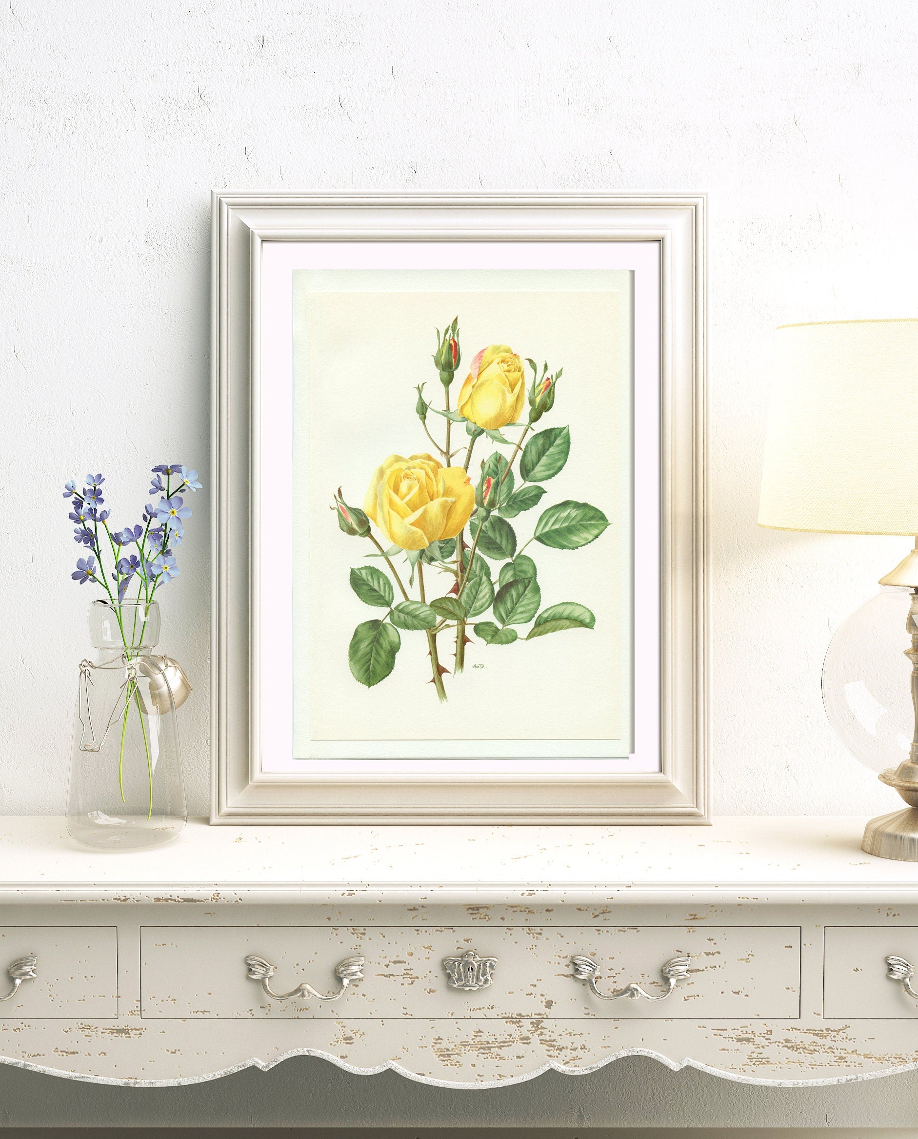 Yellow Arthur Bell rose poster 1967 Vintage Botanical art French country decor Antique botanical art Antique Roses art Vintage roses gift