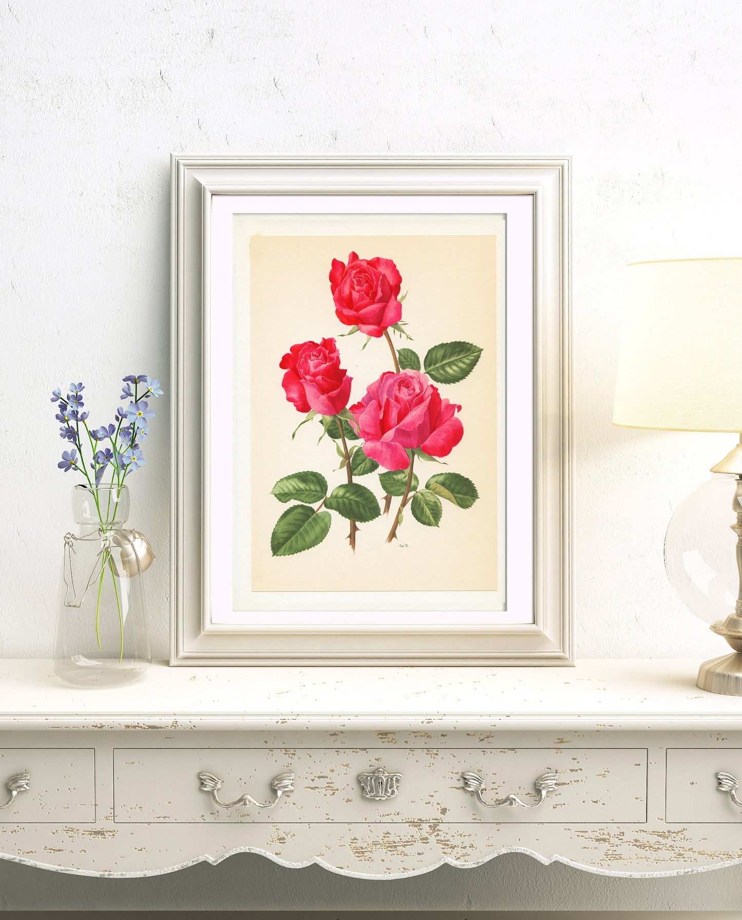 Dark pink roses botanical art 1962. Vintage Cassin rose botanical print for French country decor. Floral nursery decor girl Flower wall art