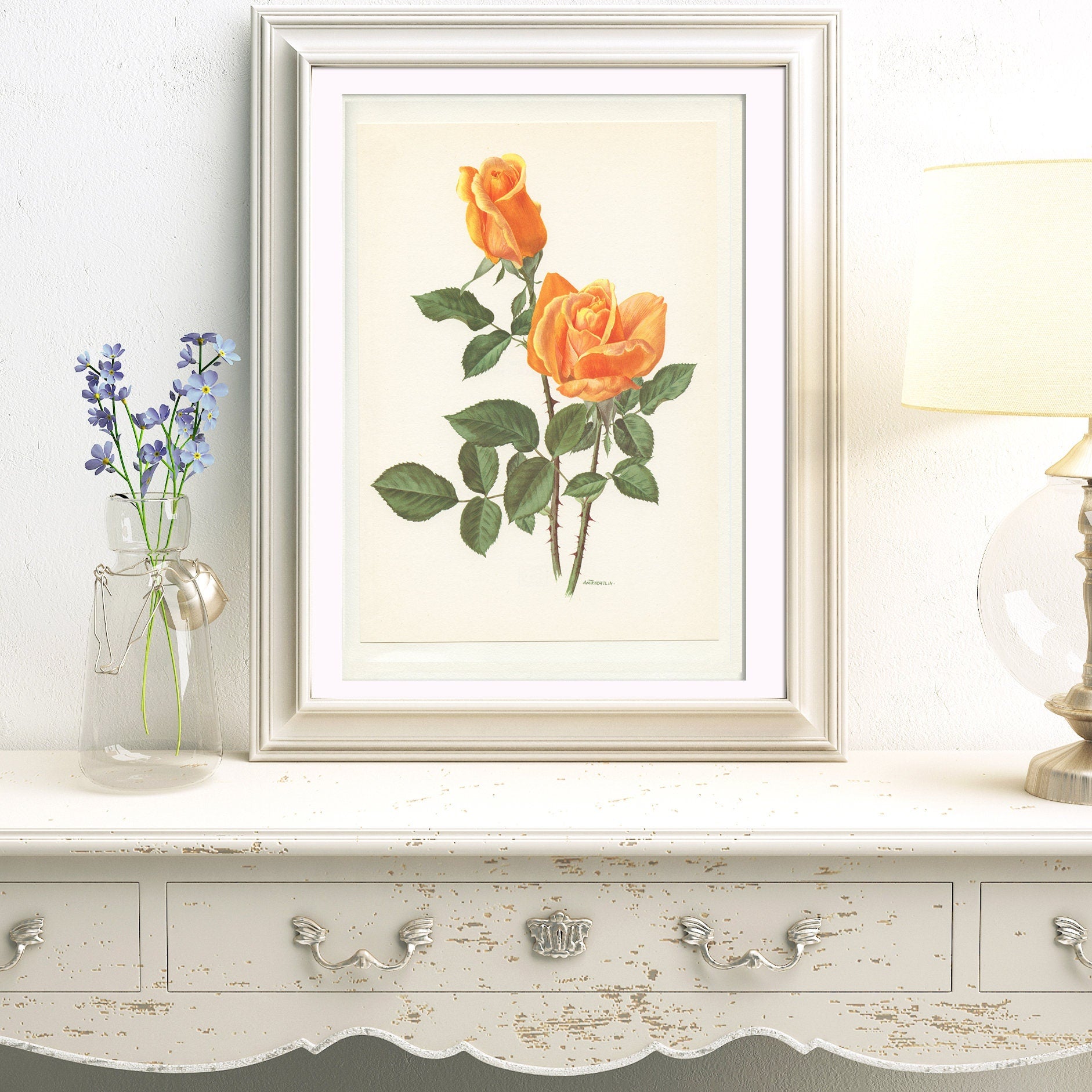 Orange rose poster 1967 Vintage Botanical art French country decor Vienna Charm Antique botanical art Antique Roses art Vintage roses gift