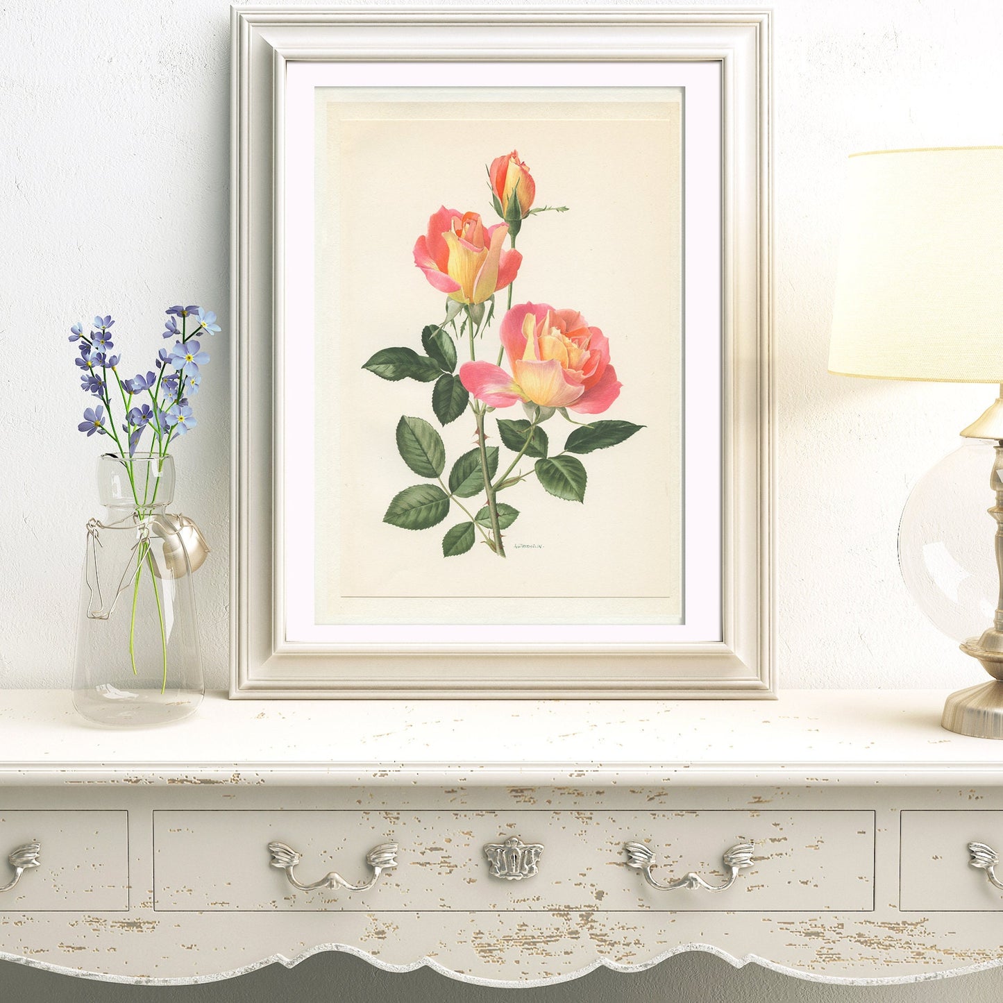 Sea Pearl Pink rose flower botanical print from1967. Small vintage French country decor floral  wall art. Plant teacher gardener gift.