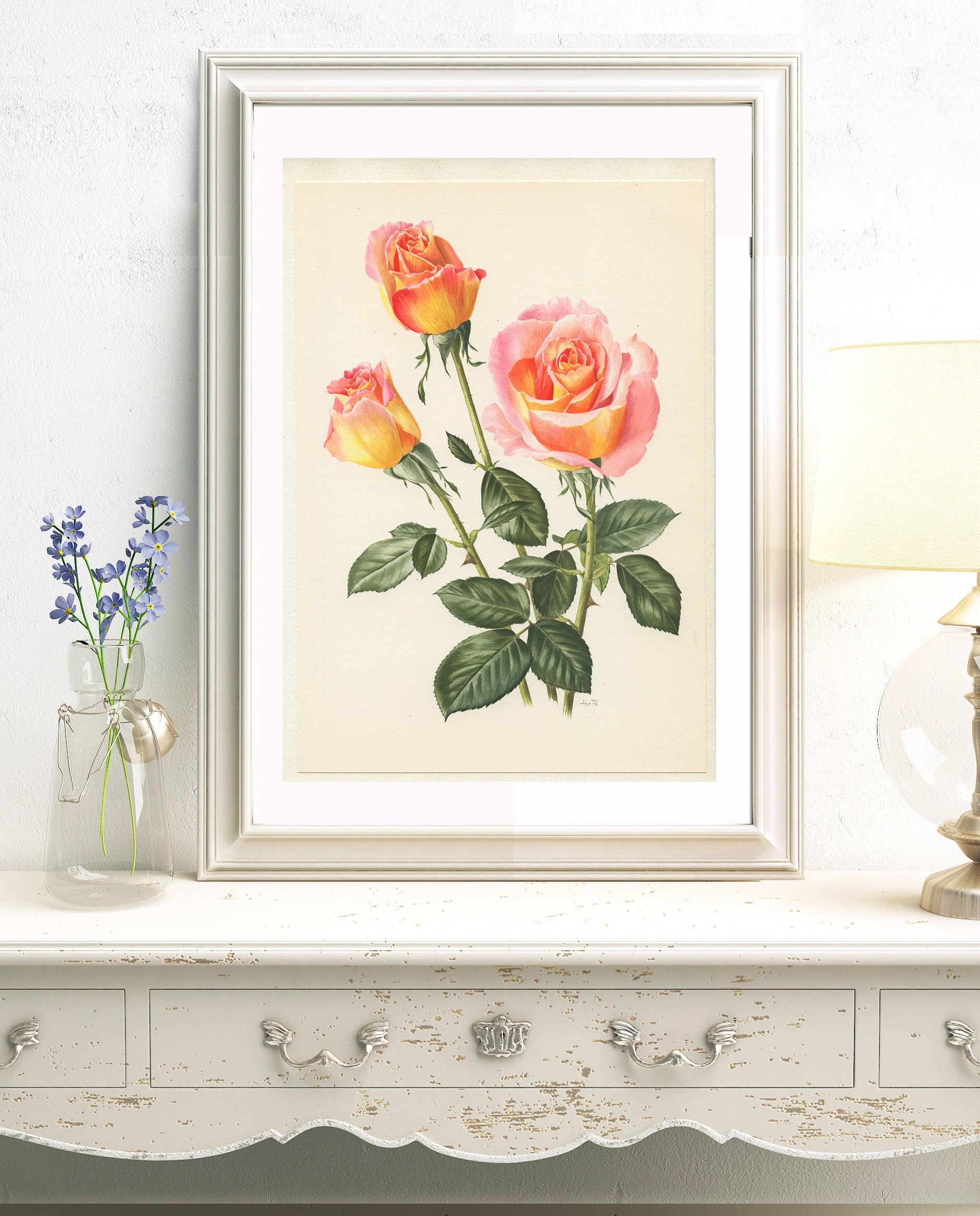 1967 Silva rose flower. Small vintage botanical prints. Coral Pink French country decor floral  wall art. Plant teacher gardener gift.