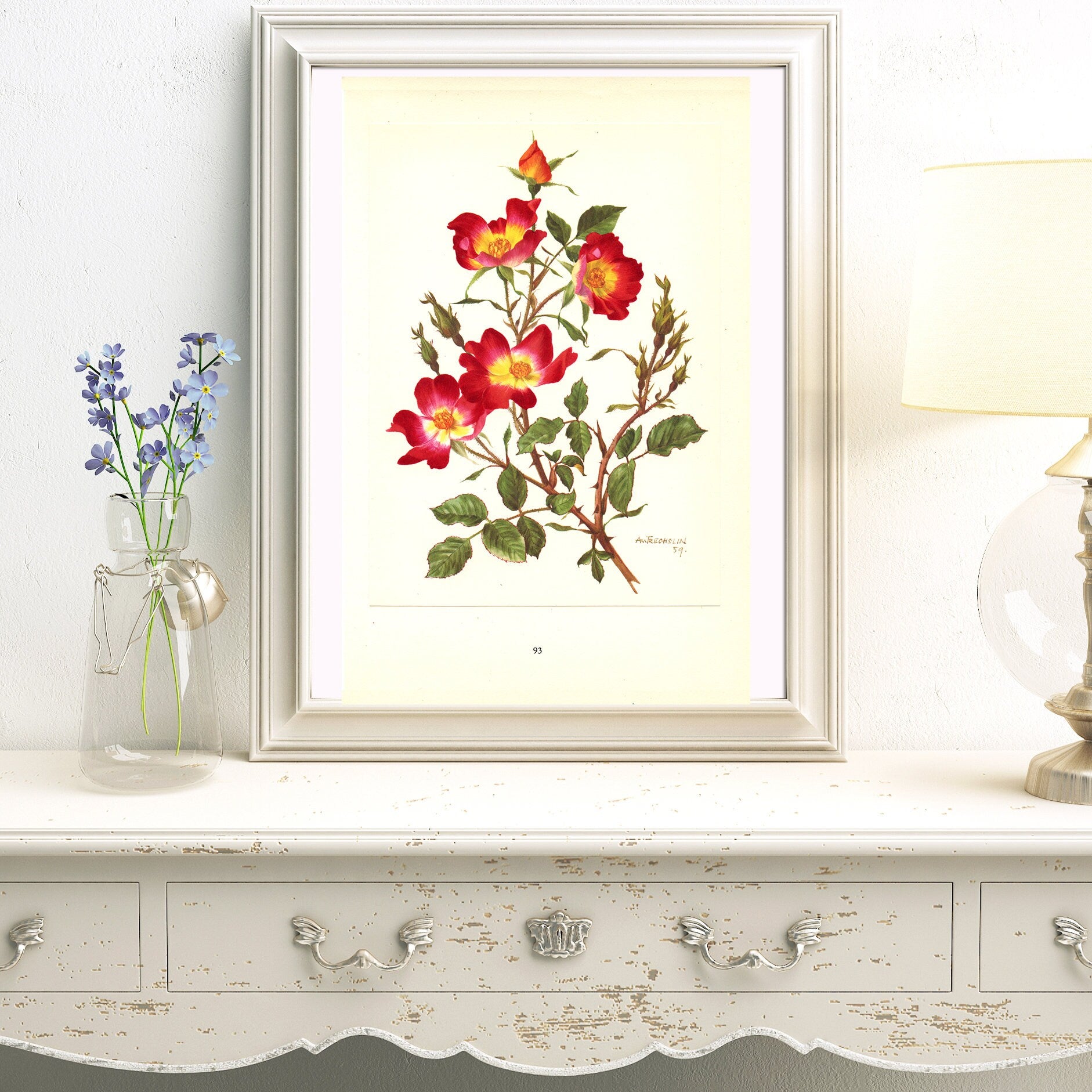 1962 Cocktail bicolor Red & yellow Rose flower art. Vintage Botanical art. French country decor. Botanical poster. Small Rose poster