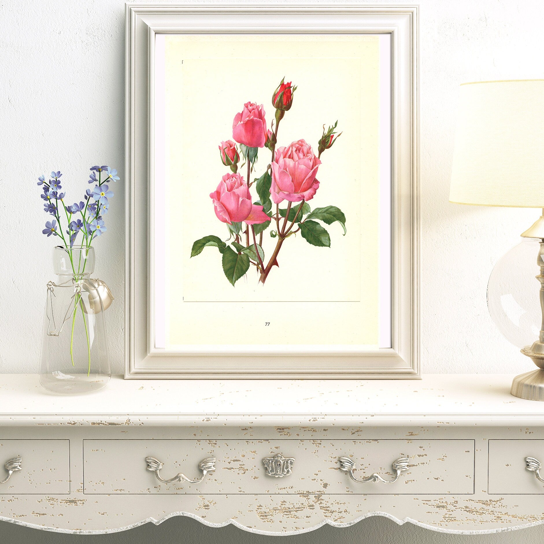 1962 Set of 2 Pink Roses art Queen Elizabeth + Tiffany Vintage Botanical art. Floral print. French country decor Botanical Roses poster